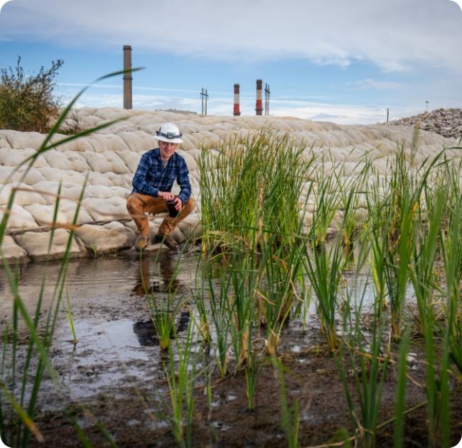 male employee crouched down in stream