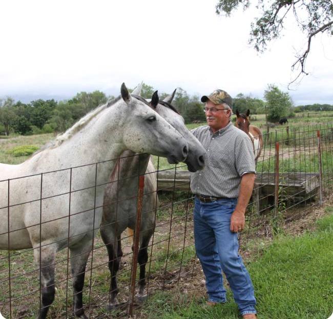 man petting horses