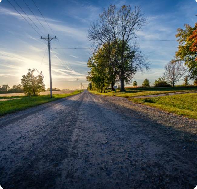 road powerlines trees