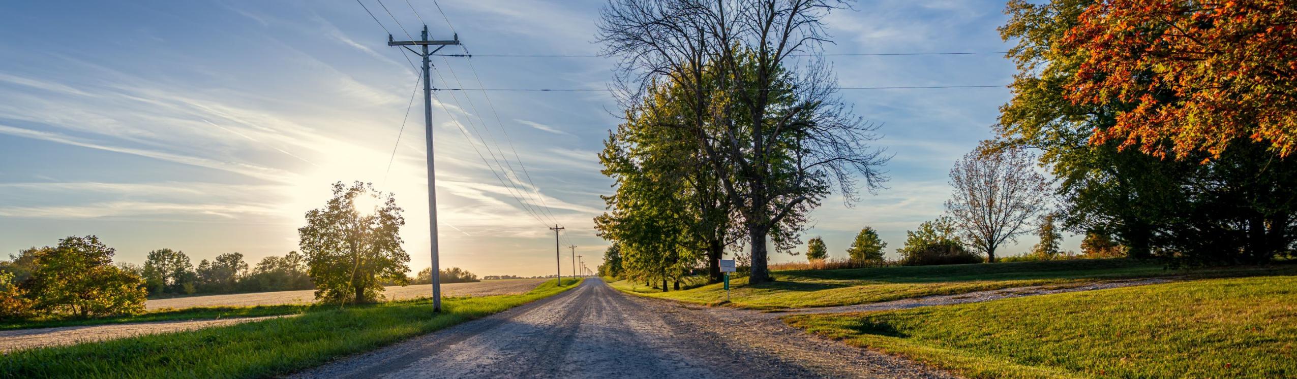 road, trees, house, powerlines